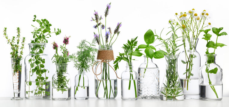 10 estratti naturali utili per contrastare la stitichezza