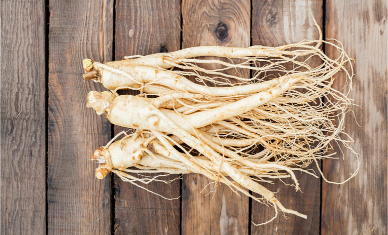 Come recuperare le energie con l’estratto di Ginseng