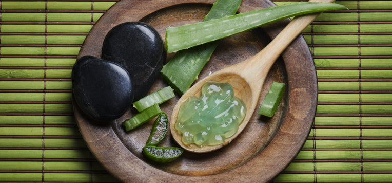 Bere succo di Aloe Vera: tutti i benefici che non conoscevi