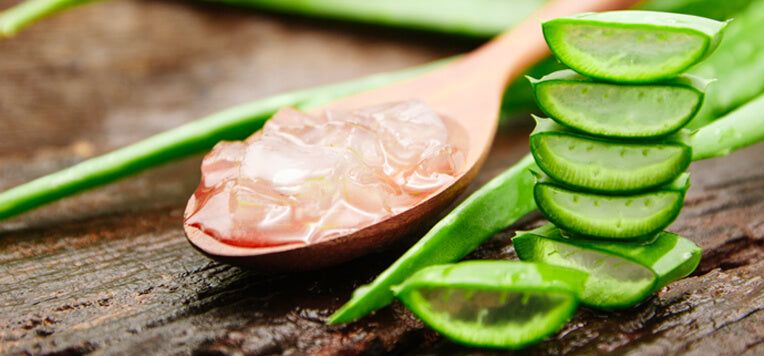 Aloe Vera Gel: un prezioso rimedio per la pelle secca  ESI
