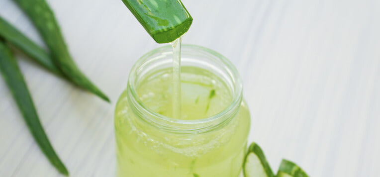 Aloe Vera da bere: come e perch berla ogni giorno  ESI