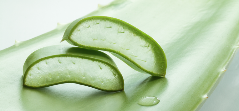 Aloe Vera: 5 benefici per pelle e capelli  ESI