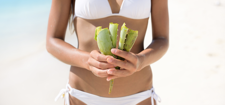 I benefici dell’Aloe Vera contro le scottature solari