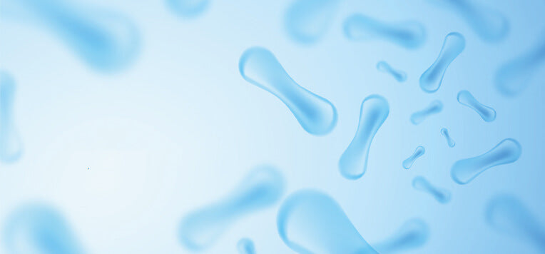 Difese immunitarie e probiotici: la salute passa dall'intestino