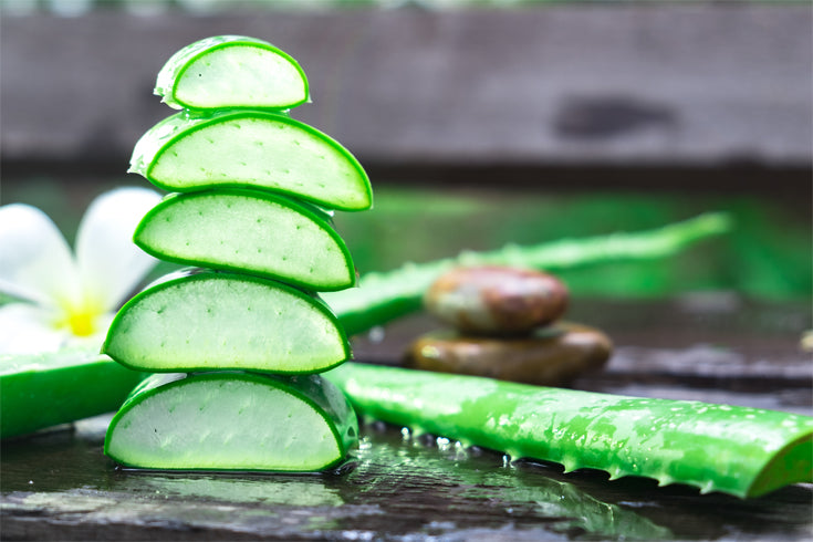 Tutti i benefici dell'Aloe Vera per pelle e capelli  ESI
