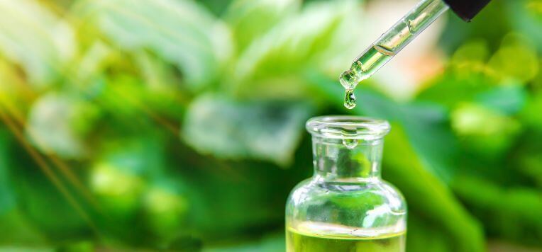 Tea Tree Oil, a cosa serve?