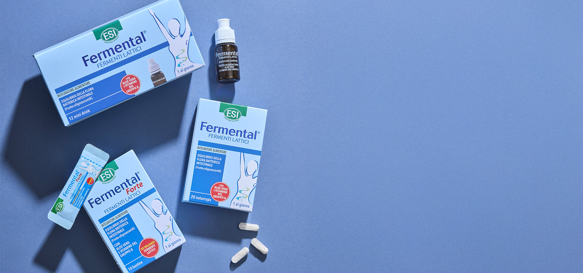 Fermental