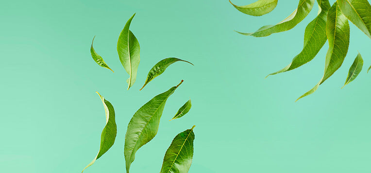 Come depurare le vie urinarie dopo l'estate grazie ai rimedi naturali