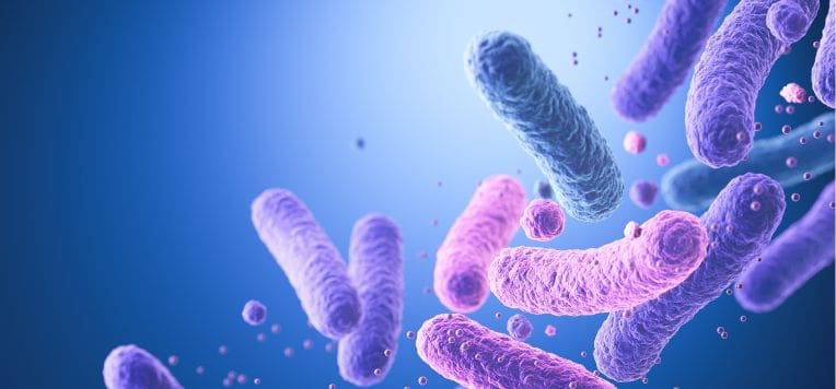 Probiotici intestinali: benefici per la digestione