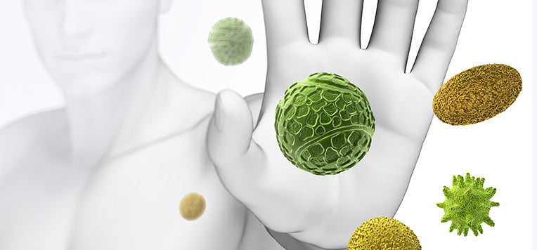 Sistema immunitario: come funziona?