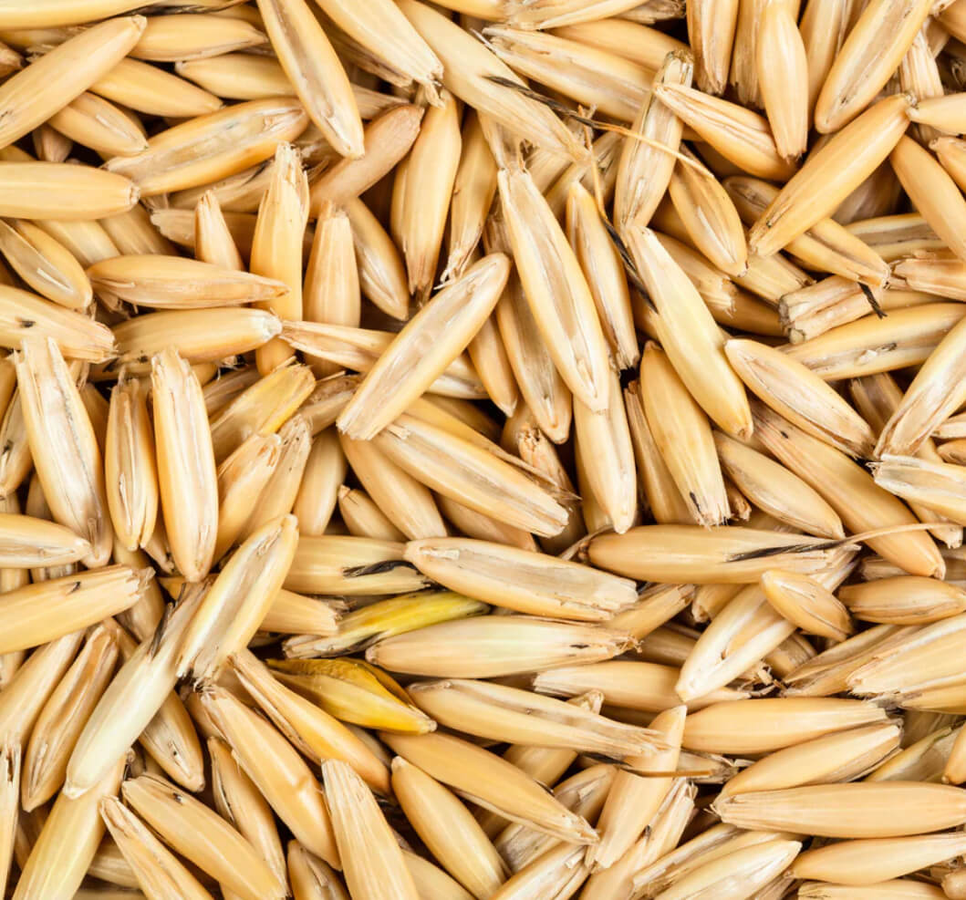 Estratto di Avena Sativa (Kernel Extract): Usi Cosmetici