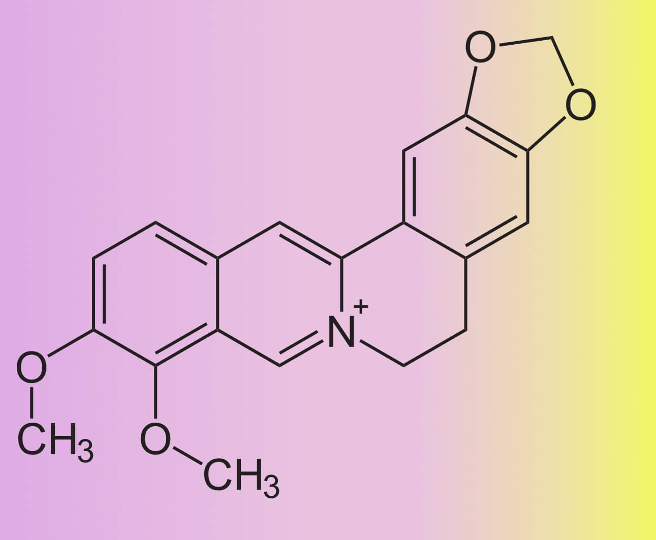 Berberina: Benefici Metabolici e Cardiovascolari