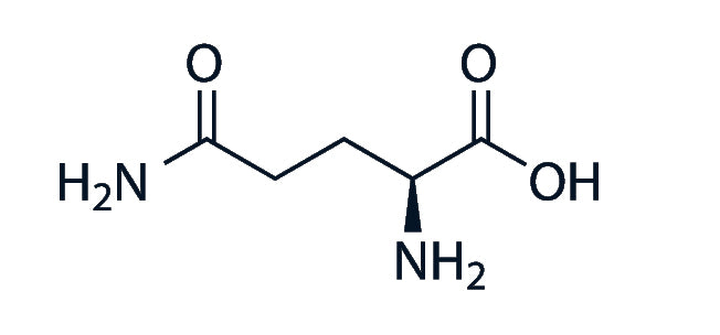 Glutammina