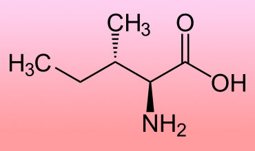 L-Isoleucina: Amminoacido Ramificato (BCAA)