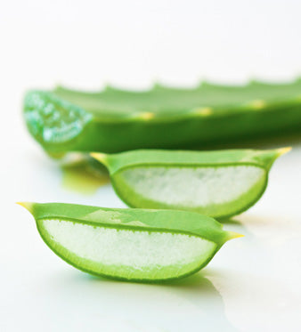 Aloe Vera: Azione Lenitiva e Depurativa