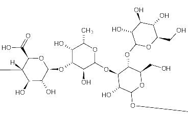Biosaccharide Gum-4: Proprietà Cosmetiche