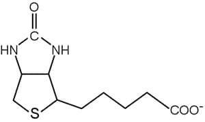 Biotina: Benefici per Pelle, Unghie e Capelli