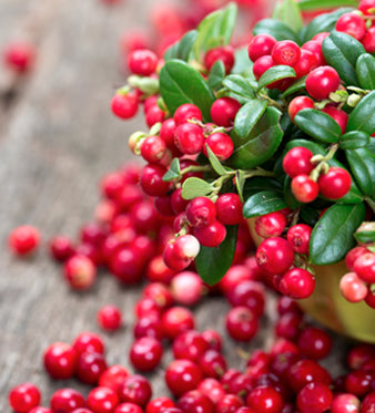Cranberry (Mirtillo Rosso): Vie Urinarie