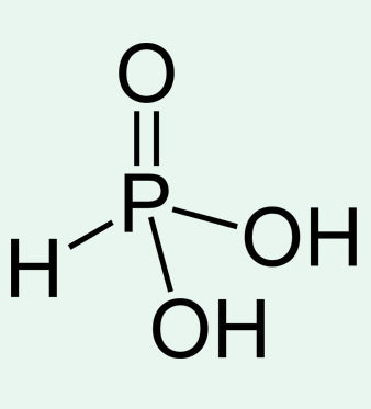 Fosforo: Minerale per Metabolismo e Ossa