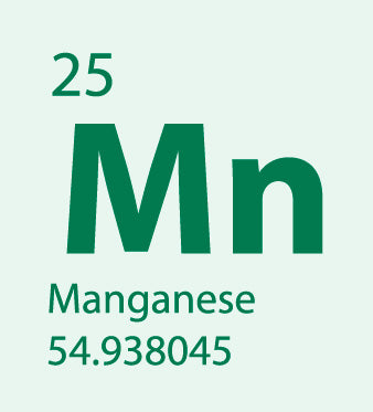 Manganese: Minerale Antiossidante