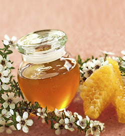 Miele di Manuka: Proprietà Antibatteriche