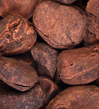 Noci di Cola: Effetto Tonico e Stimolante