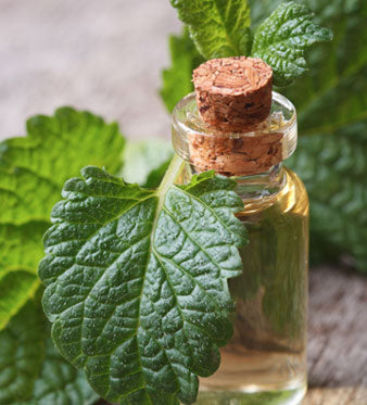 Olio di Borragine: Benessere della Pelle