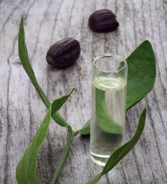 Olio di Jojoba: Proprietà Idratanti