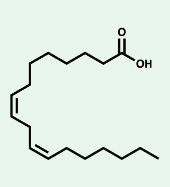 Omega 6: Acidi Grassi Essenziali