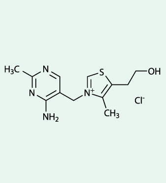 Vitamina B1 (Tiamina): Metabolismo Energetico