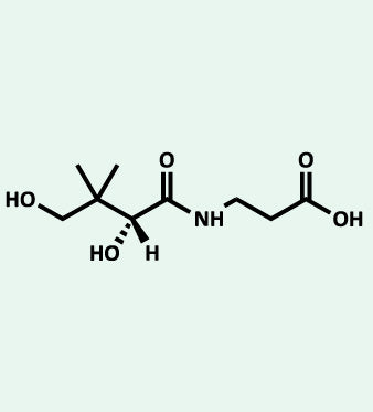 Vitamina B5 (Acido Pantotenico): Metabolismo ed Energia