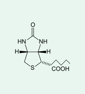 Vitamina H (Biotina): Funzioni e Proprietà