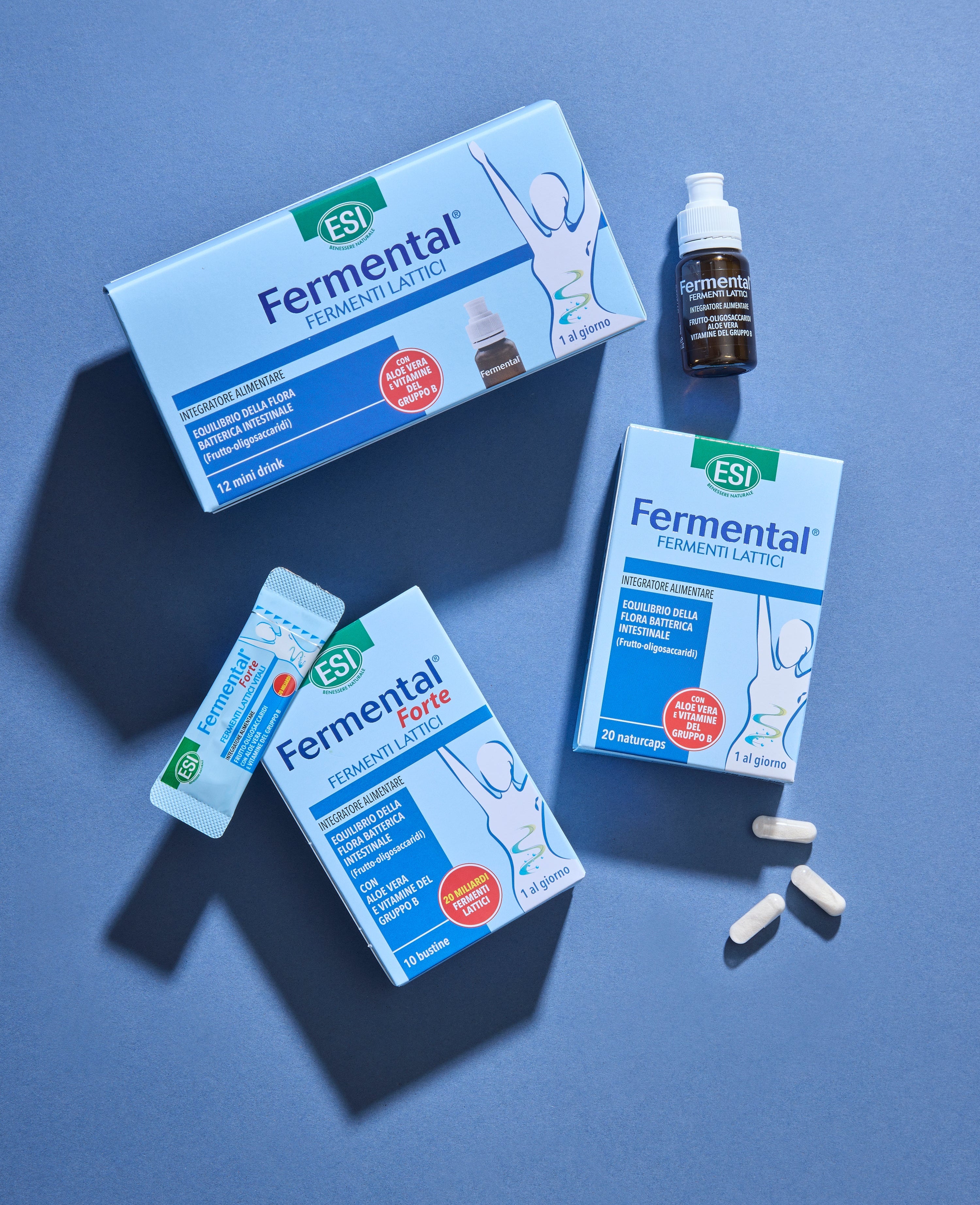 FERMENTAL FERMENTI LATTICI