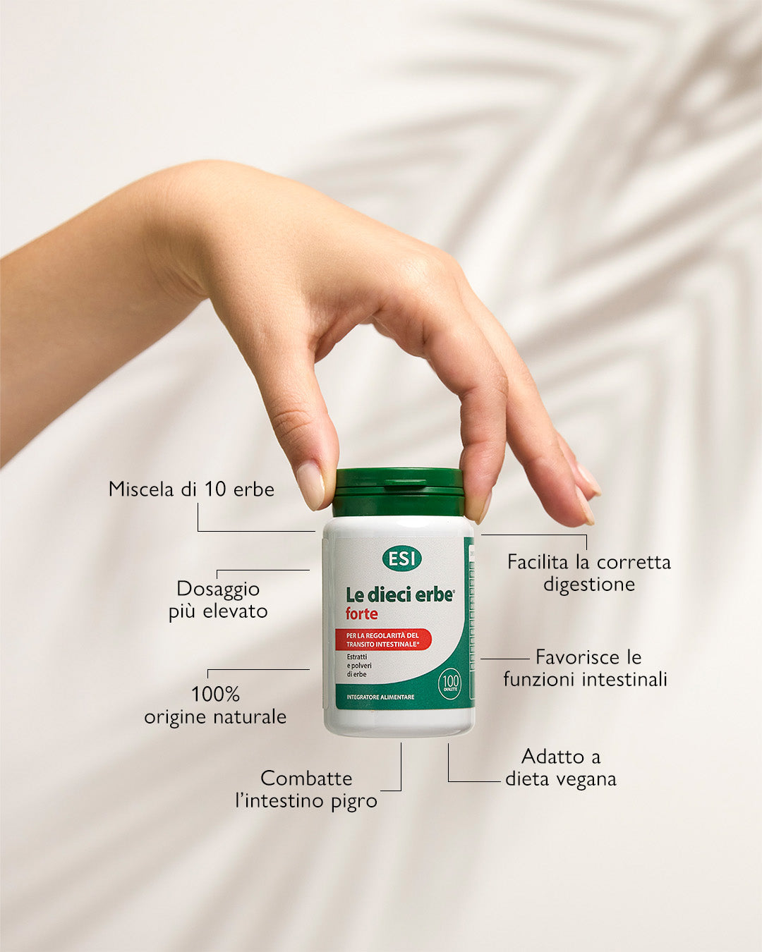 10 INGREDIENTI PER IL BENESSERE DELL’INTESTINO