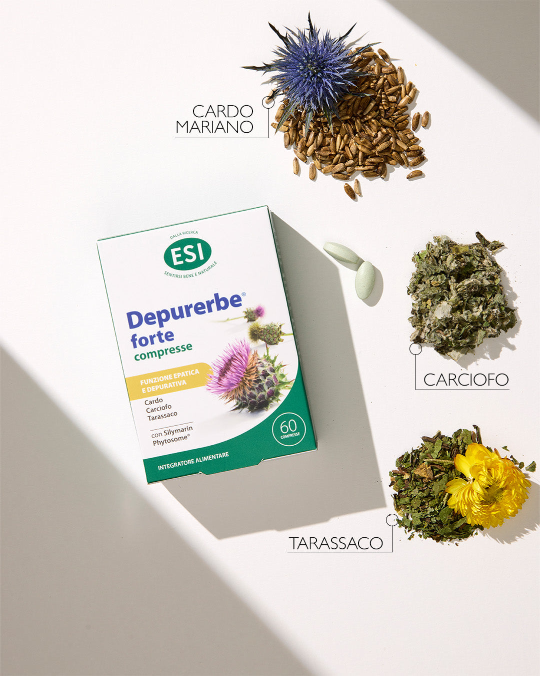 I PRINCIPI NATURALI