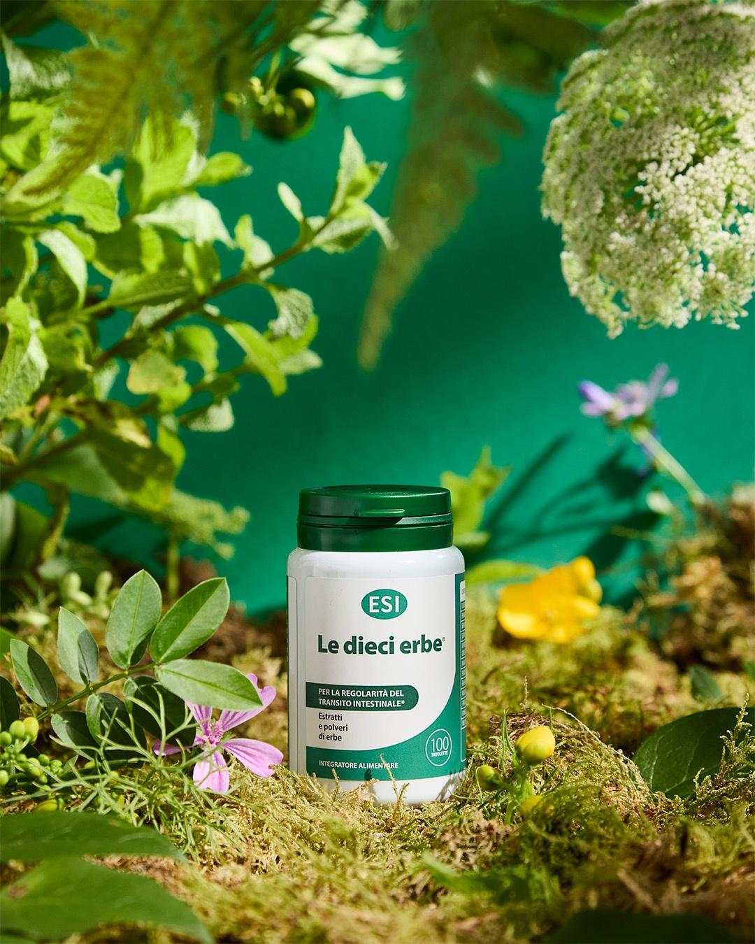 Ten Herbs
