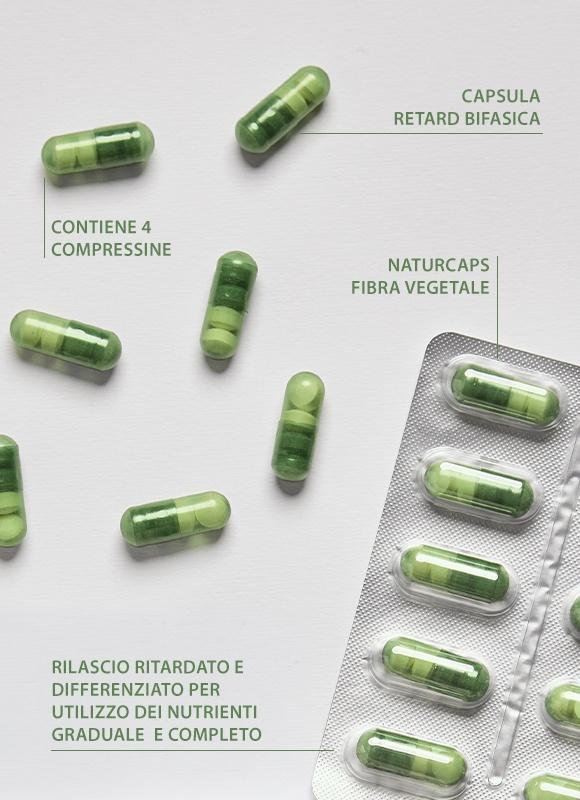 Rigenforte naturcaps