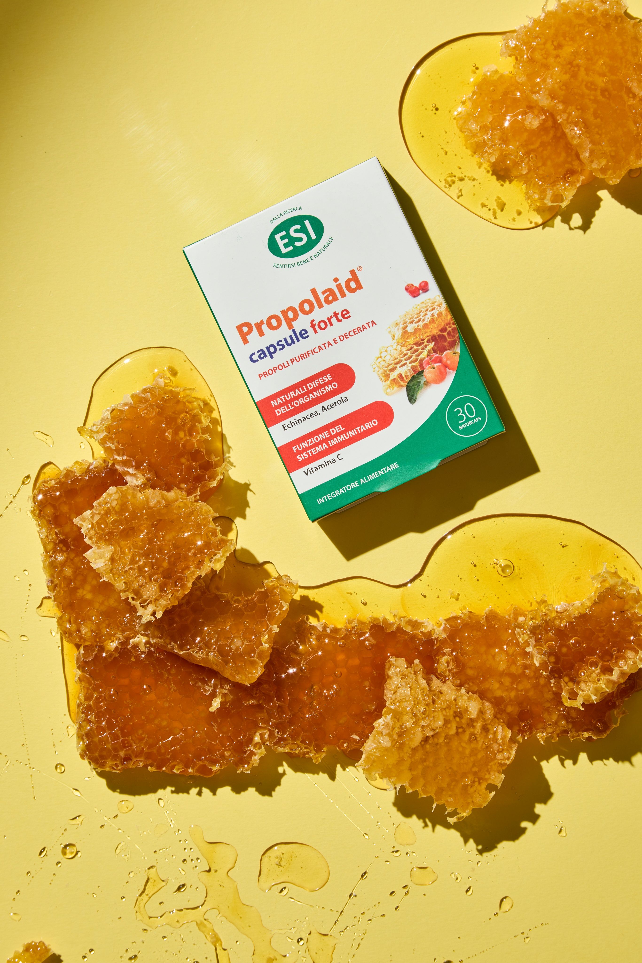 Propolaid capsule Forte