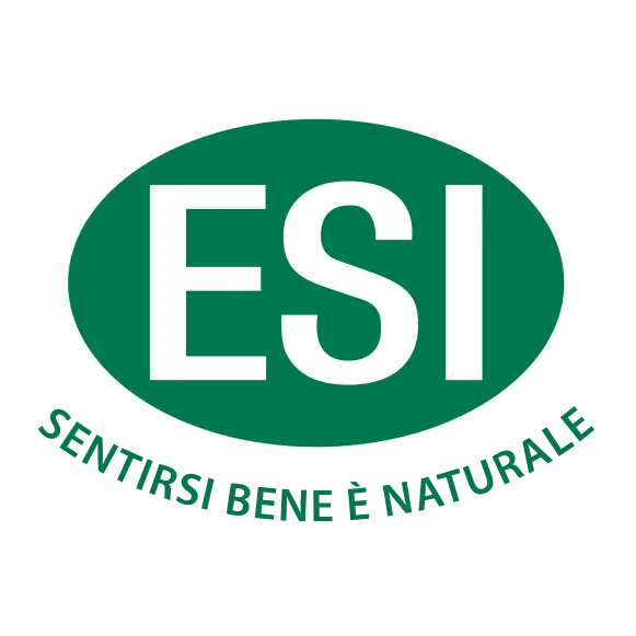 Logo ESI