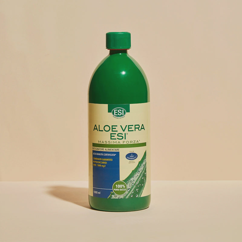 shop aloe The Pastel Shop main image 0