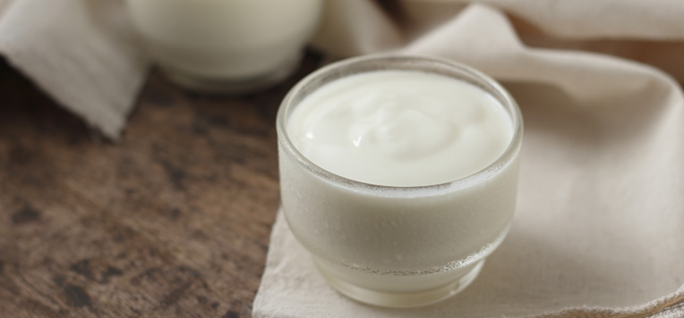 I fermenti lattici che fanno bene a intestino e flora batterica