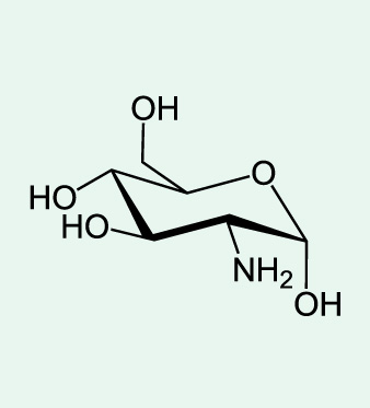 glucosamina