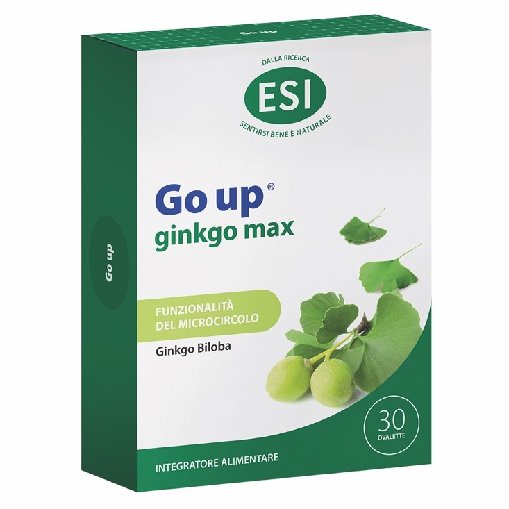 Go Up GinkgoMax