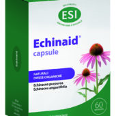 Echinaid capsule