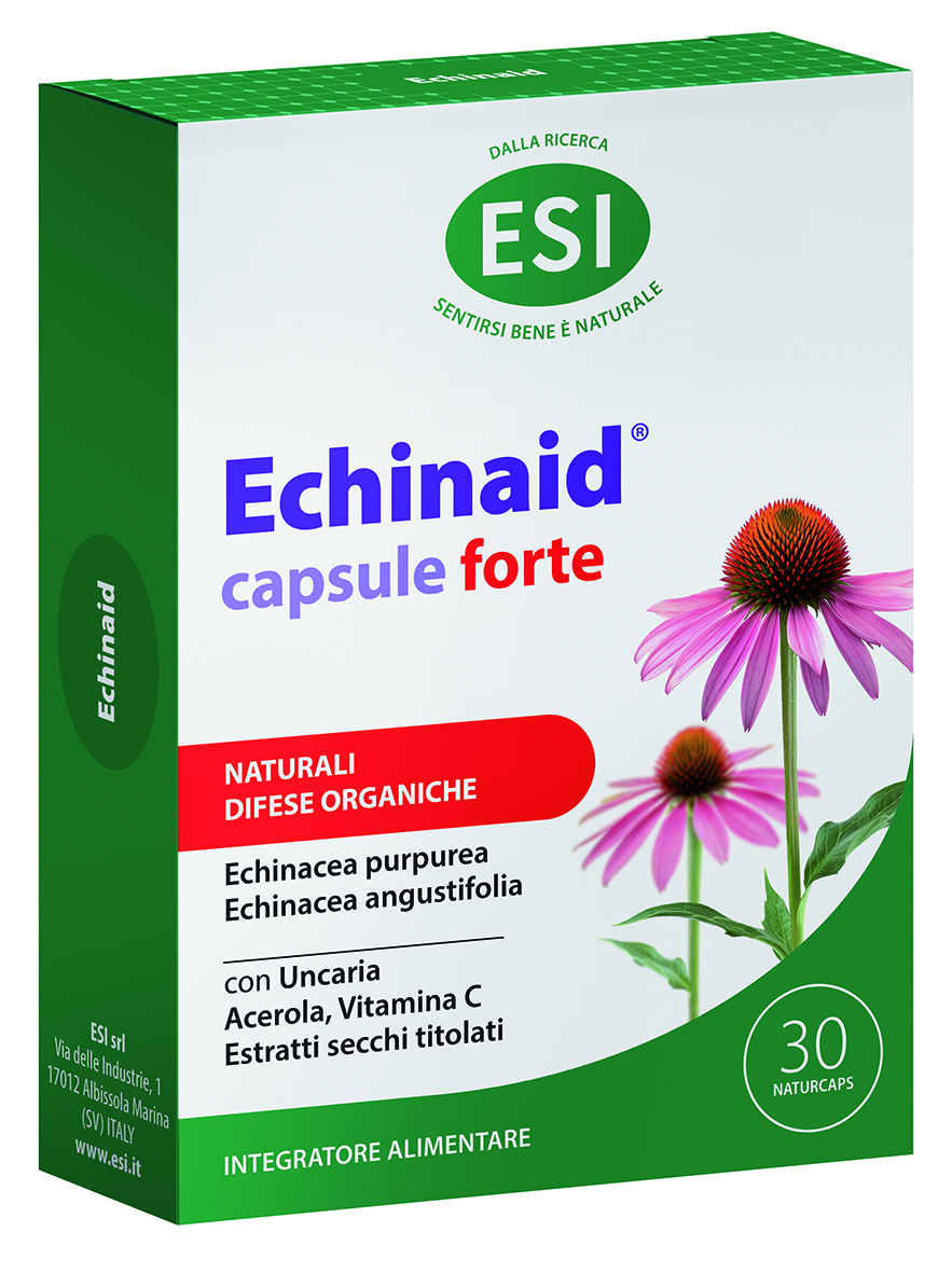 Echinaid capsule Forte