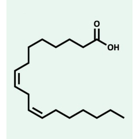 struttura omega 6