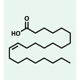 struttura omega 9