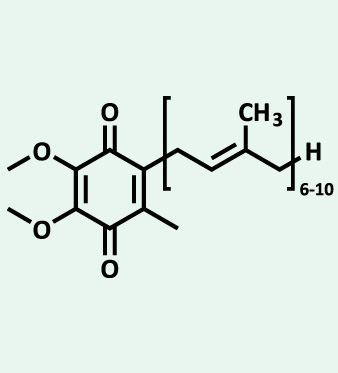 struttura del coenzima Q10