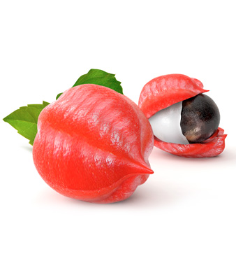 guarana