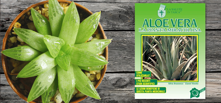 Scopri le proprietà curative dell'Aloe Vera. Depurativa e cicatrizzante - ESI srl